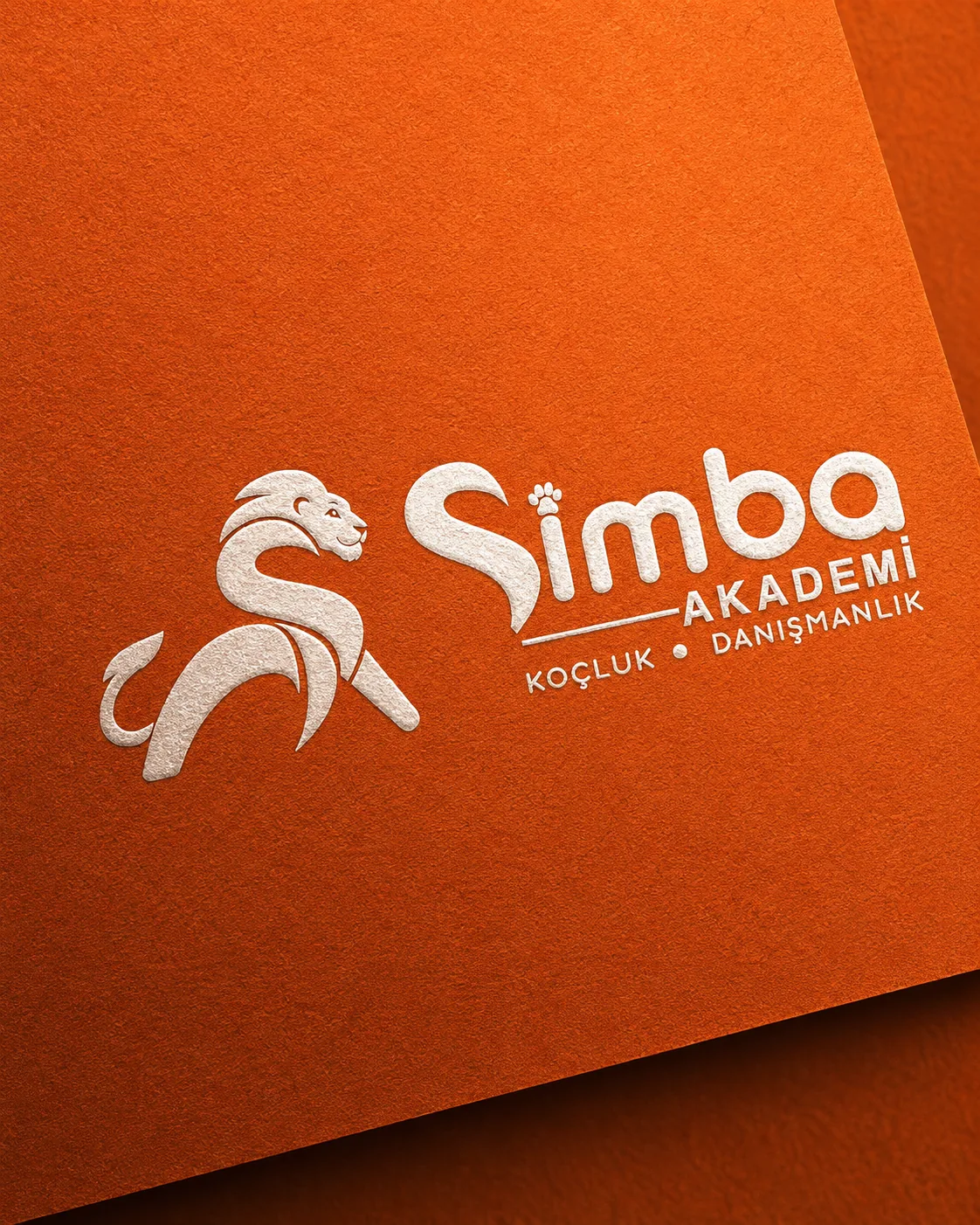 Simba Akademi logo tasarımı